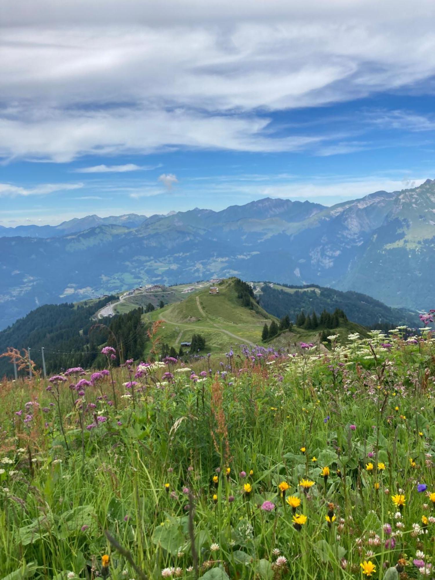 Plein Soleil Modern 3 Bedroom Apartment With Stunning Mountain Views Samoens Luaran gambar